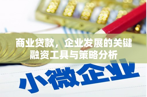 沂源商业贷款，企业发展的关键融资工具与策略分析