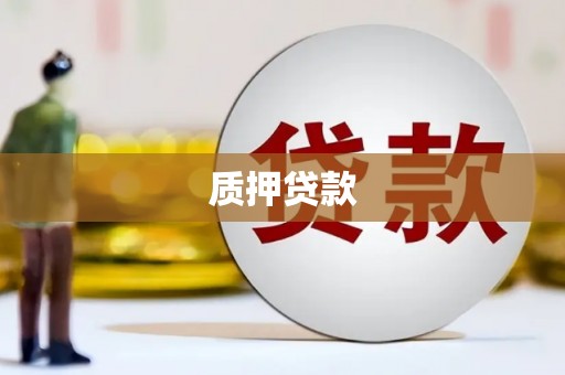 沂源质押贷款