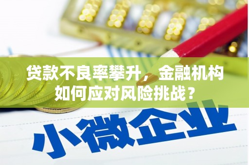 沂源贷款不良率攀升，金融机构如何应对风险挑战？