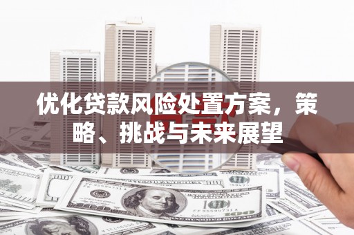 沂源优化贷款风险处置方案，策略、挑战与未来展望