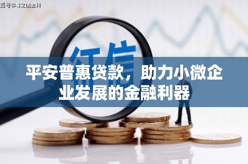沂源平安普惠贷款，助力小微企业发展的金融利器