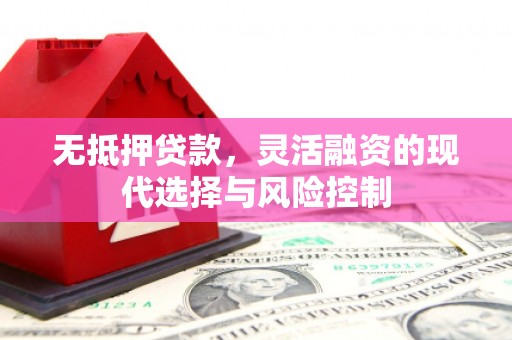 沂源无抵押贷款，灵活融资的现代选择与风险控制