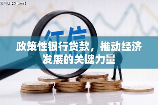 沂源政策性银行贷款，推动经济发展的关键力量