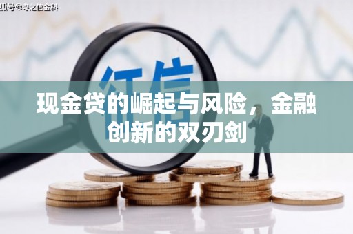 沂源现金贷的崛起与风险，金融创新的双刃剑