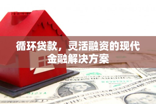 沂源循环贷款，灵活融资的现代金融解决方案