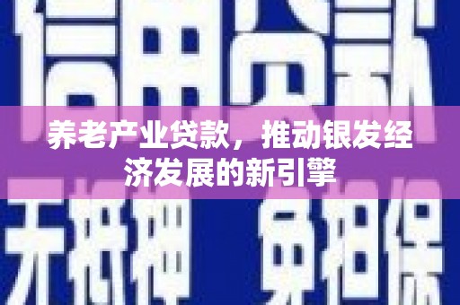 沂源养老产业贷款，推动银发经济发展的新引擎