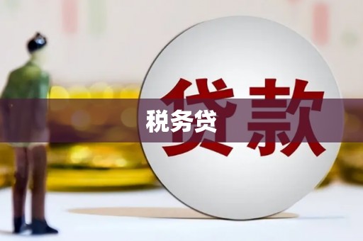 沂源税务贷
