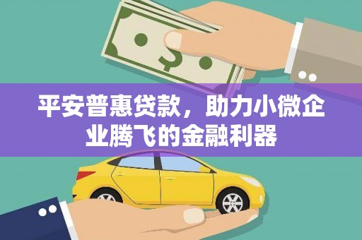 沂源平安普惠贷款，助力小微企业腾飞的金融利器