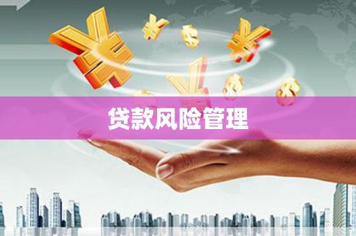 沂源贷款风险管理