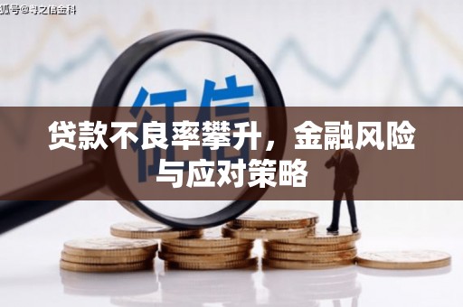 沂源贷款不良率攀升，金融风险与应对策略