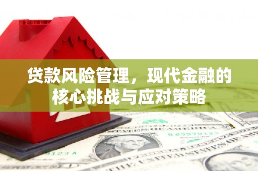 沂源贷款风险管理，现代金融的核心挑战与应对策略