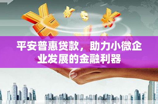 沂源平安普惠贷款，助力小微企业发展的金融利器