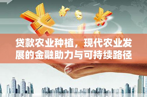 沂源贷款农业种植，现代农业发展的金融助力与可持续路径