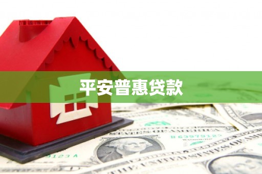 沂源平安普惠贷款