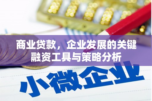 沂源商业贷款，企业发展的关键融资工具与策略分析