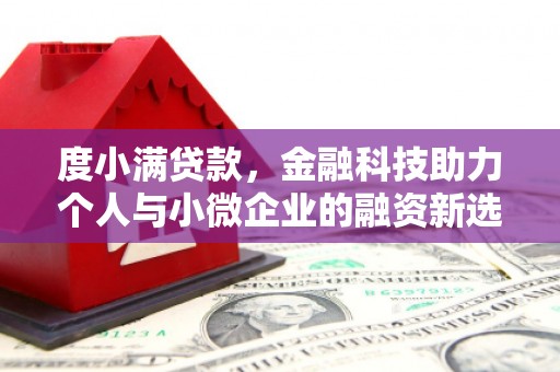 沂源度小满贷款，金融科技助力个人与小微企业的融资新选择