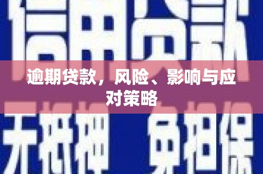 沂源逾期贷款，风险、影响与应对策略