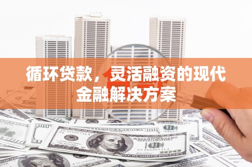 沂源循环贷款，灵活融资的现代金融解决方案