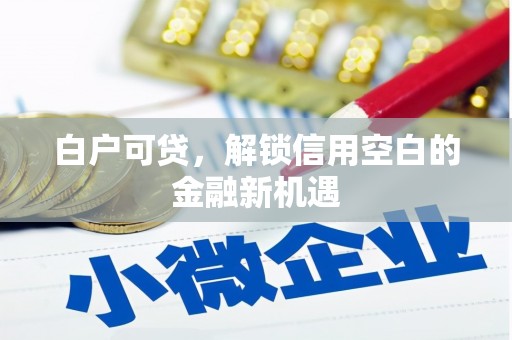 沂源白户可贷，解锁信用空白的金融新机遇
