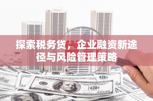 沂源探索税务贷，企业融资新途径与风险管理策略
