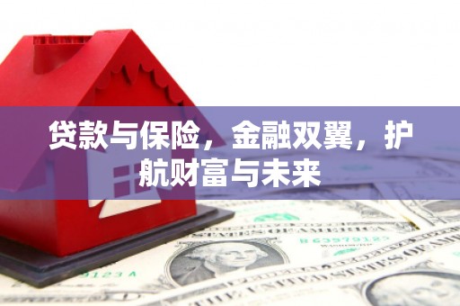 沂源贷款与保险，金融双翼，护航财富与未来