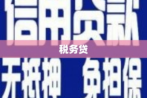 沂源税务贷