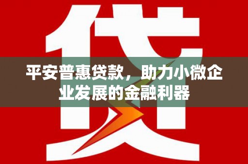 沂源平安普惠贷款，助力小微企业发展的金融利器