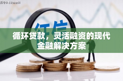 沂源循环贷款，灵活融资的现代金融解决方案