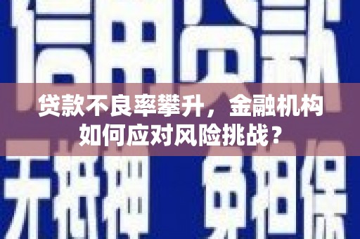 沂源贷款不良率攀升，金融机构如何应对风险挑战？