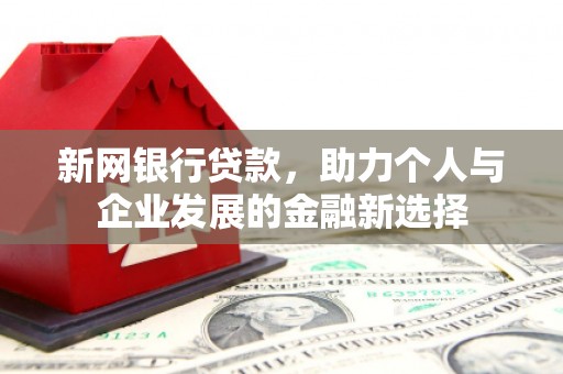 沂源新网银行贷款，助力个人与企业发展的金融新选择