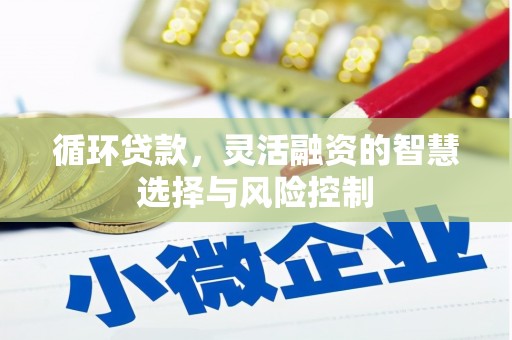 沂源循环贷款，灵活融资的智慧选择与风险控制