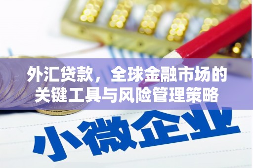 沂源外汇贷款，全球金融市场的关键工具与风险管理策略