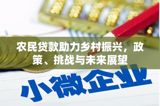 沂源农民贷款助力乡村振兴，政策、挑战与未来展望