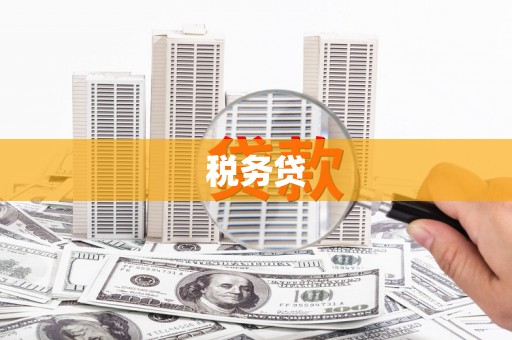 沂源税务贷