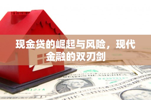 沂源现金贷的崛起与风险，现代金融的双刃剑