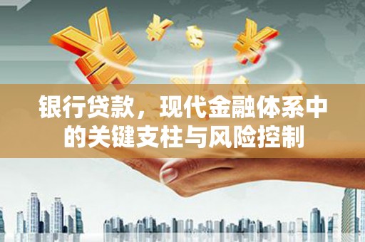 沂源银行贷款，现代金融体系中的关键支柱与风险控制