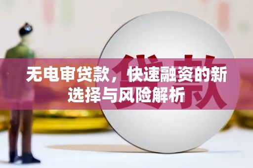 沂源无电审贷款，快速融资的新选择与风险解析
