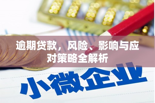 沂源逾期贷款，风险、影响与应对策略全解析