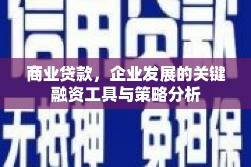 沂源商业贷款，企业发展的关键融资工具与策略分析