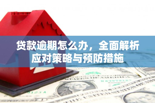 沂源贷款逾期怎么办，全面解析应对策略与预防措施