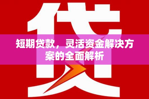 沂源短期贷款，灵活资金解决方案的全面解析