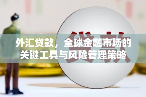 沂源外汇贷款，全球金融市场的关键工具与风险管理策略