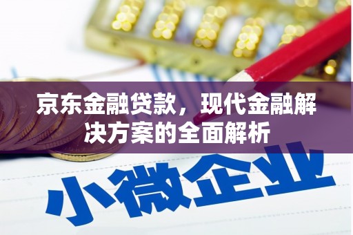 沂源京东金融贷款，现代金融解决方案的全面解析