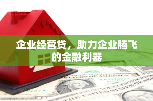 沂源企业经营贷，助力企业腾飞的金融利器