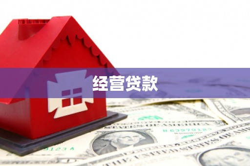 沂源经营贷款