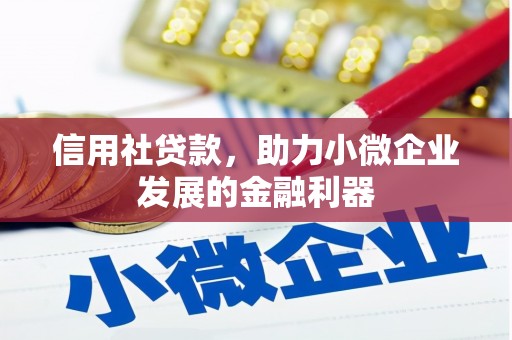 沂源信用社贷款，助力小微企业发展的金融利器