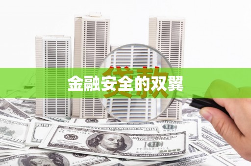 沂源金融安全的双翼