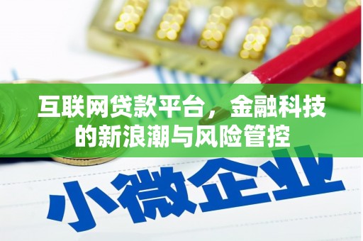 沂源互联网贷款平台，金融科技的新浪潮与风险管控