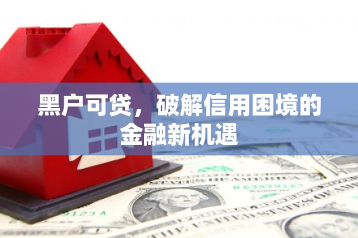 沂源黑户可贷，破解信用困境的金融新机遇