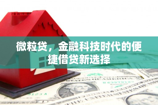 沂源微粒贷，金融科技时代的便捷借贷新选择